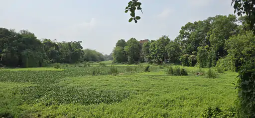 Rani talab CKP